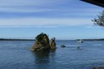 PICTURES/Oregon Coast Scenic Railway - Rockaway to Garibaldi/t_P1020947.JPG
